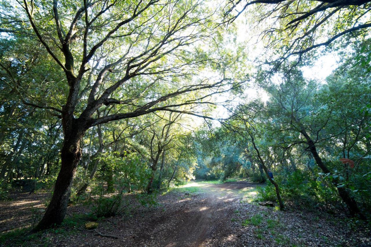 Tenuta Monacelli Lecce Bagian luar foto
